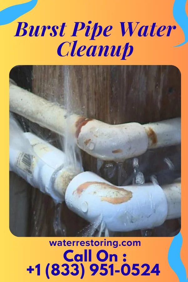 Burst Pipe Water Cleanup in Hickory Flat, MS