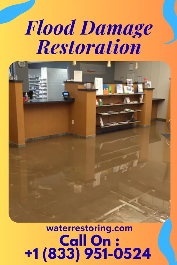 Flood Damage Restoration in Hickory Flat, MS
